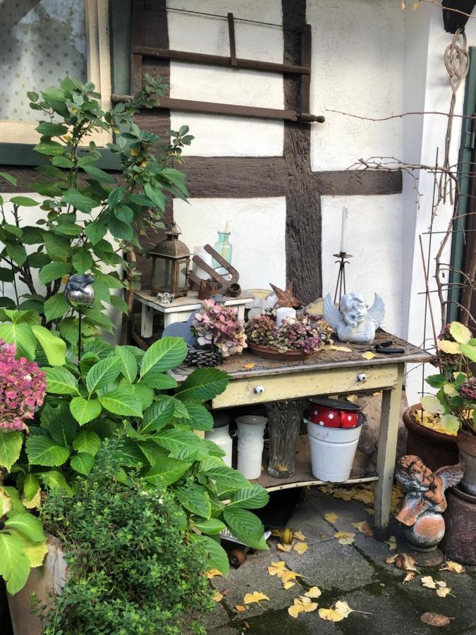 Platzhirsch Seligenstadt - Im Herzen Der Altstadt ภายนอก รูปภาพ